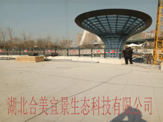 武漢地鐵八號線廣場海綿項目